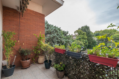 [copy] [copy] Appartement Toulouse